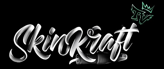Skinkraft TV logo
